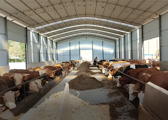 Large-scale livestock farms